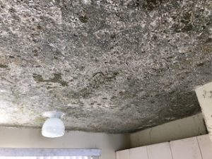 Asbestos Containing Ceiling Stipple